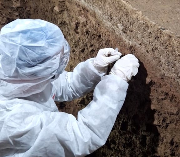 Sampling for ancient DNA at Pembroke Castle