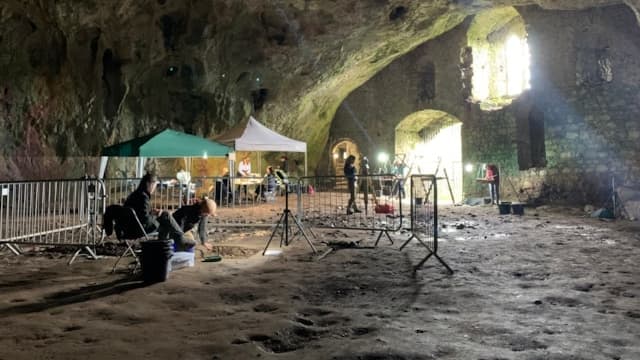 From hippos to Homo sapiens: cave hidden beneath Pembroke Castle could ...