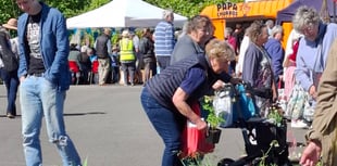 The 'Big Plant Sale' returns to Narberth