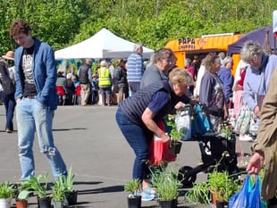 The 'Big Plant Sale' returns to Narberth