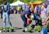 The 'Big Plant Sale' returns to Narberth for 2026