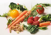 Pembrokeshire horticultural dwelling plan recommended for approval despite objections