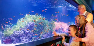 5 Top London Attractions for £59 + Free Theme Park Ticket!*