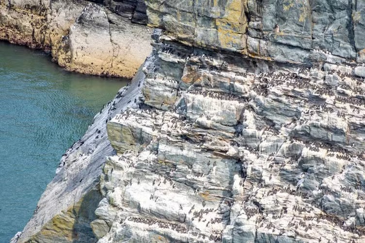 cliffs-near-south-stack-lighthouse-in-anglesey-island-wales