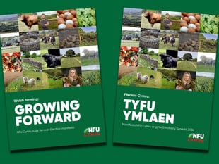 Join NFU Cymru's Senedd hustings event