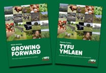Join NFU Cymru's Senedd hustings event
