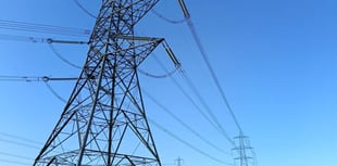 Wales farmer alleges pylon survey violated her land rights