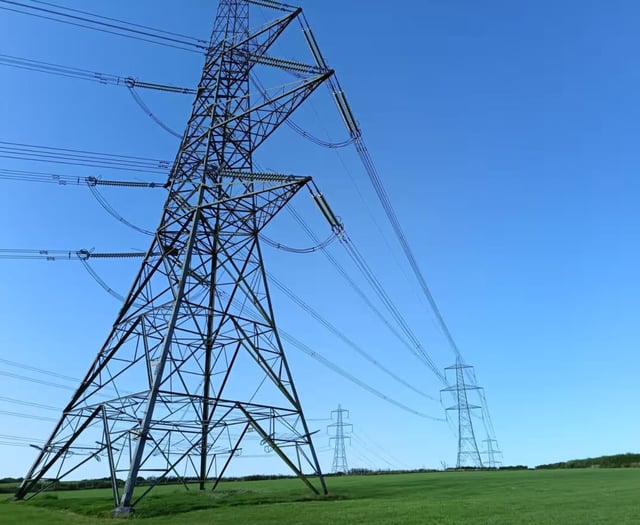 Wales farmer alleges pylon survey violated her land rights