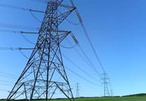 Wales farmer alleges pylon survey violated her land rights