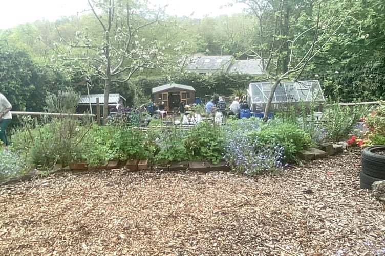 2025 plant sale at St Oswald’s Community Garden