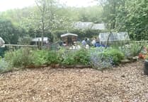 Visit Pembroke garden plant sale on May 4