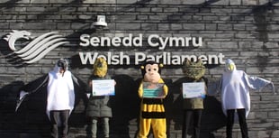 Wales polls show strong support for climate action amidst election