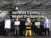 Wales polls show strong support for climate action amidst election