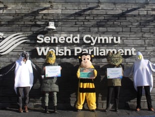 Wales polls show strong support for climate action amidst election