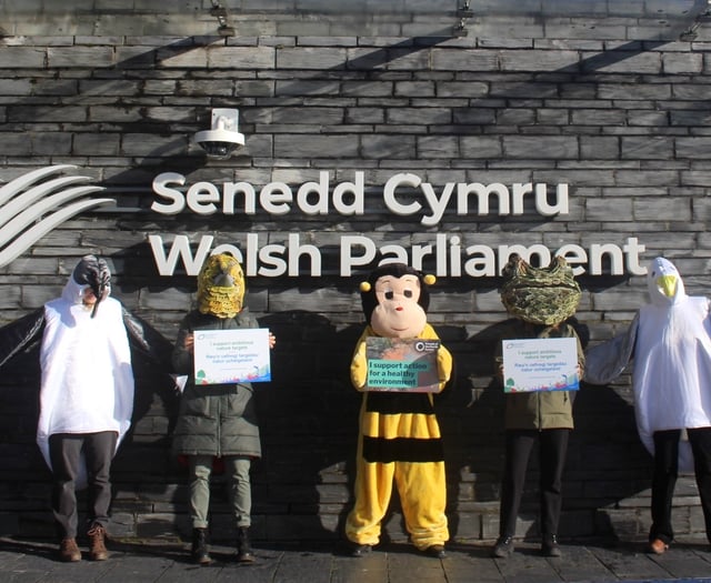 Wales polls show strong support for climate action amidst election