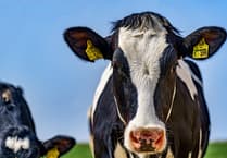 Farm's bid for retrospective planning approval