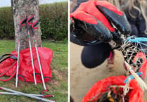 Blakemore Foundation aids Pembrokeshire beach clean