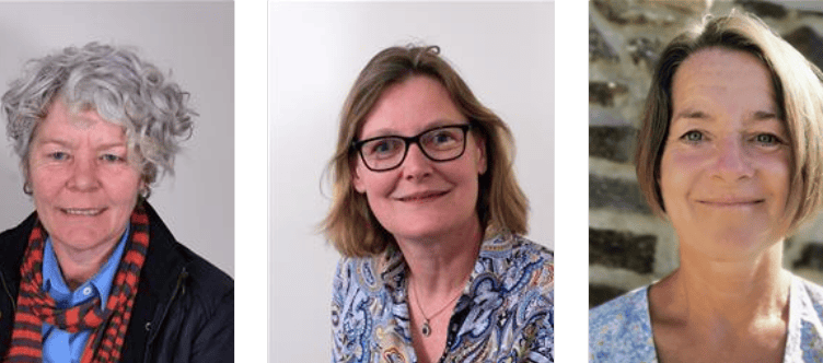 Three nominations have been received for the leadership battle - Cllr Anji Tinley; Cllr Tessa Hodgson; and Cllr Di Clements.