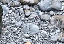 One stranded lamb saved at Stack Rocks after cliff fall