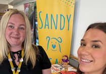 Sandy Bear: Supporting children through bereavement