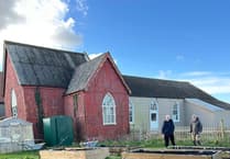 Join Neyland's Community Garden Open Day next Saturday