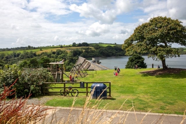 Llys-y-frân
