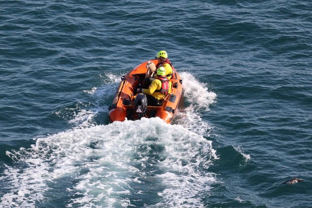 One stranded lamb saved at Stack Rocks after cliff fall