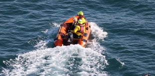 One stranded lamb saved at Stack Rocks after cliff fall