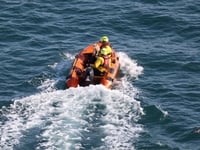 One stranded lamb saved at Stack Rocks after cliff fall