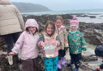 Rock pooling challenge open to all, with prizes