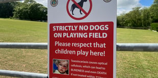 Saundersfoot Sports Club: No Dogs on Pitch!