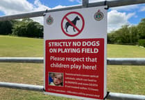 Saundersfoot Sports Club warns dog walkers: No Dogs on Pitch!