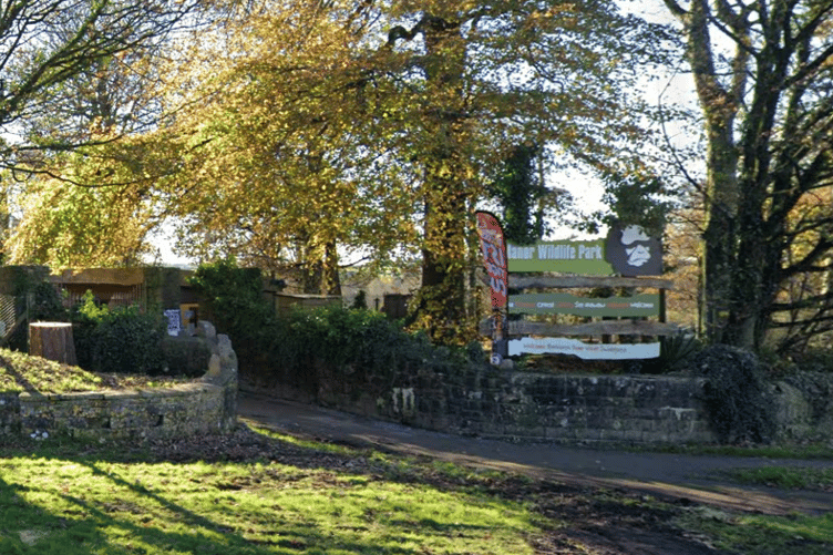 Manor Wildlife Park, near Tenby