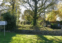 Join Manor Wildlife Park's Eisteddfod art project