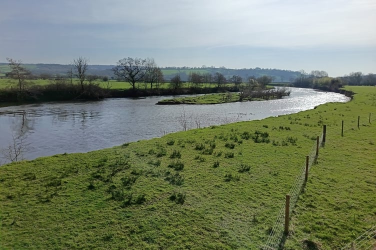 The Towy Valley cycle path, near White Mill (pic Richard Youle and free for use for wire partners)