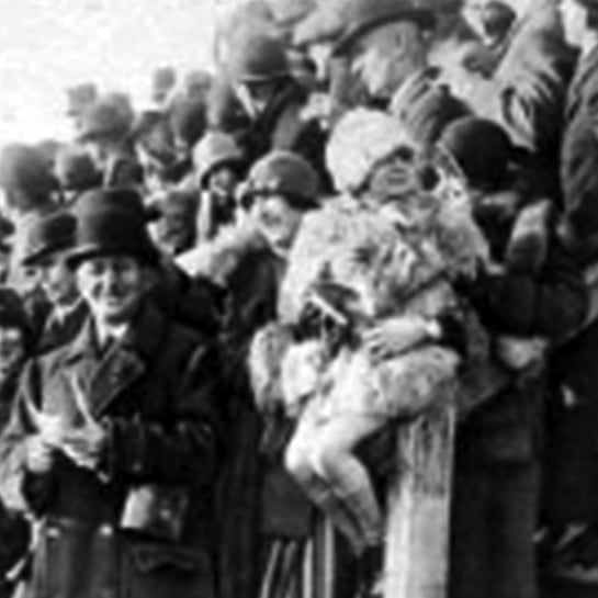 Spectators crowd the stand at Tenby Steeplechases