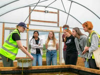 Seagrass Nursery expands in Laugharne