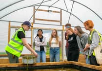 Seagrass Nursery in Laugharne expands with new ponds