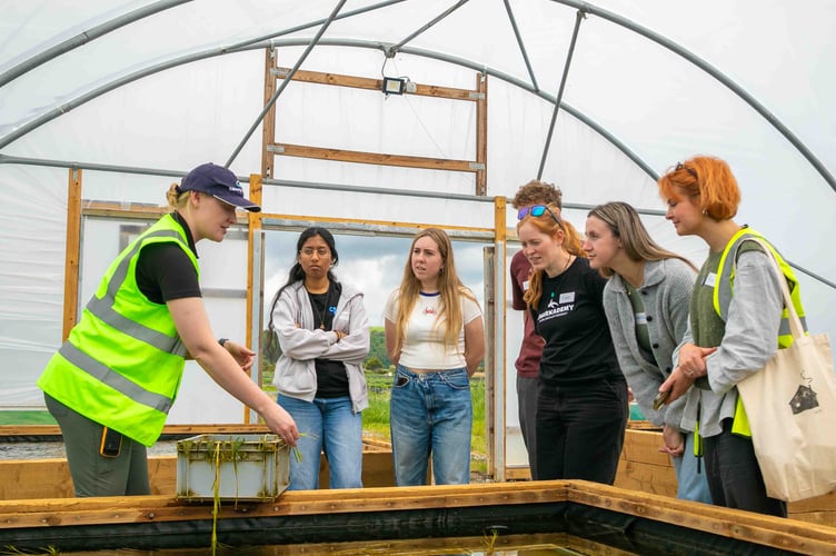 The Project Seagrass team hosted their annual Open Day at the Seagrass Nursery in Laugharne