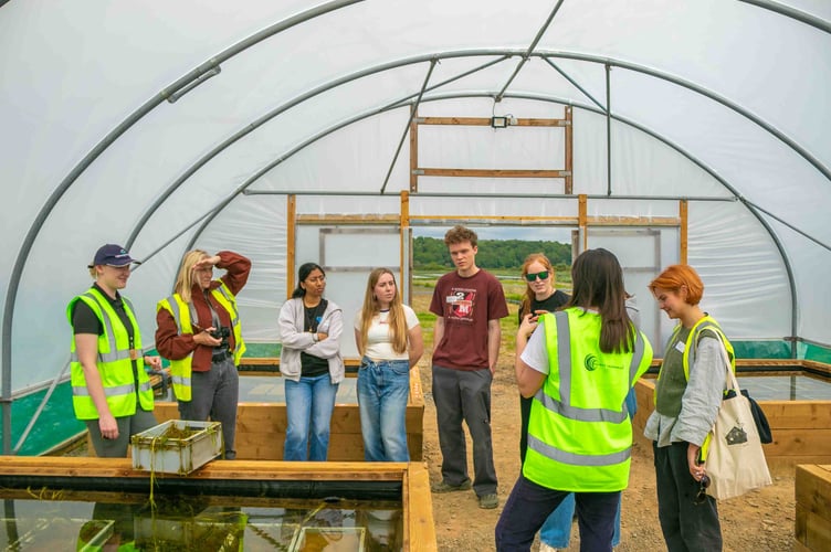 Project Seagrass