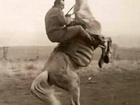 Uncle Ted's stuntwork recalled