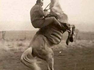 Uncle Ted's stuntwork recalled
