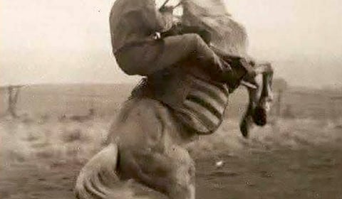 Uncle Ted's stuntwork recalled