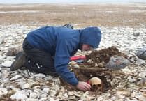 HMS Erebus: From Dockyard to Discovery