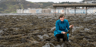 Wales scientists create seaweed plastic