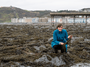 Wales scientists create seaweed plastic