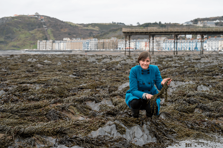 Dr Jessica Adams from IBERS at Aberystwyth University: “It is good news for the planet