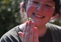 Young Darwin Scholarship open for applications