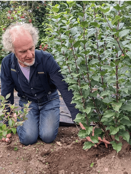 a quiet revolution is taking root across West Wales allotments, smallholdings, and back gardens