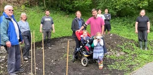 St David's hosts Great Big Green Week